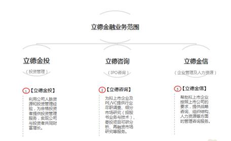 最新资讯：金立德财富动向解析与市场洞察